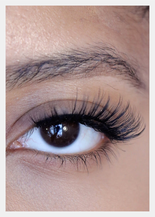 D-LUX Curl Premium Faux Mink Lashes - Diahann