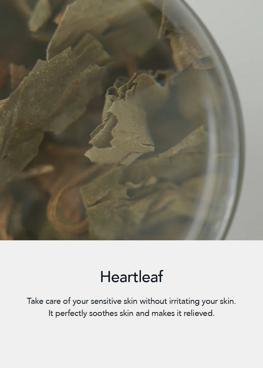 Abib Mild Acidic pH Sheet Mask Heartleaf Fit