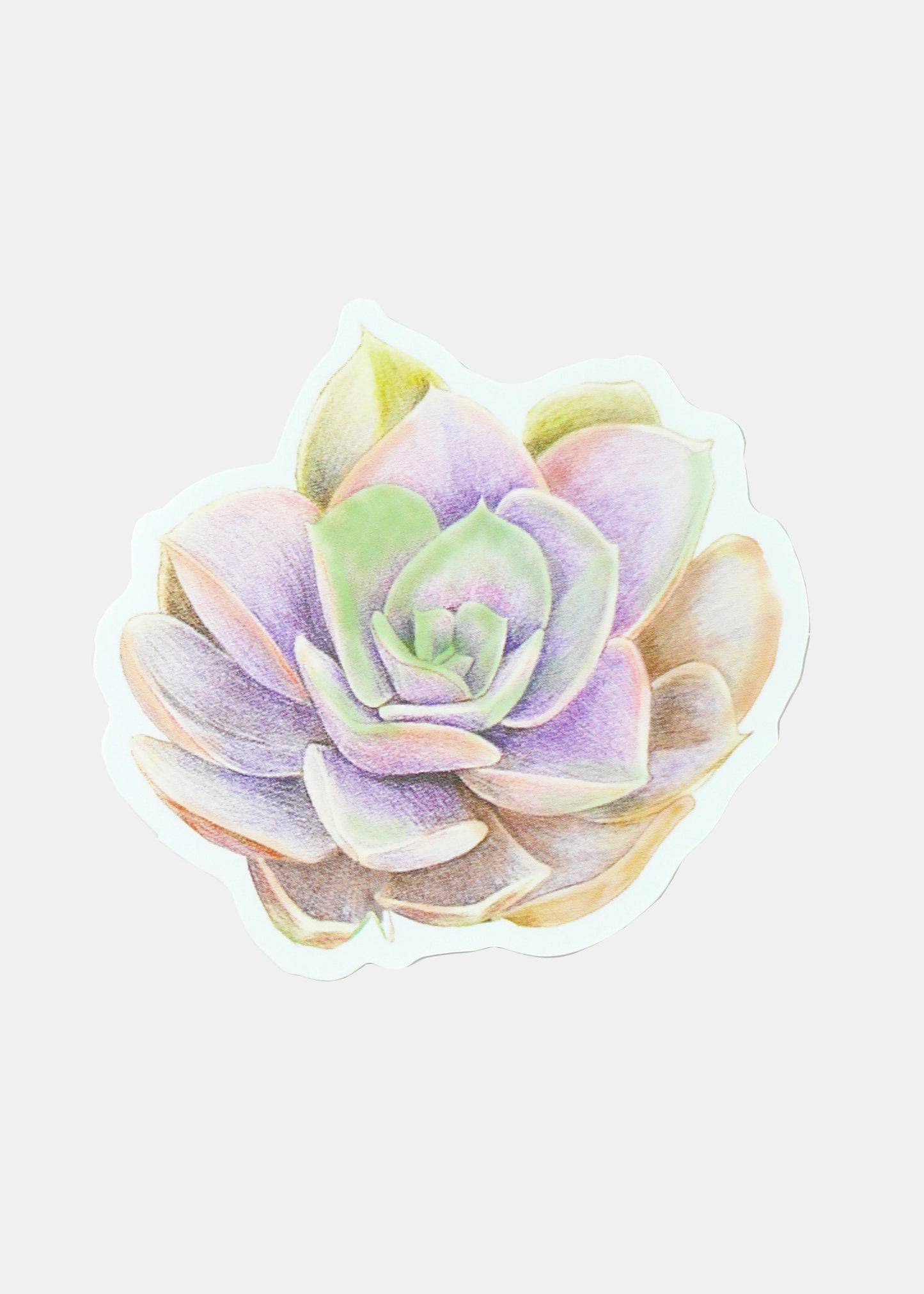 Official Key Items Sticker - Succulent