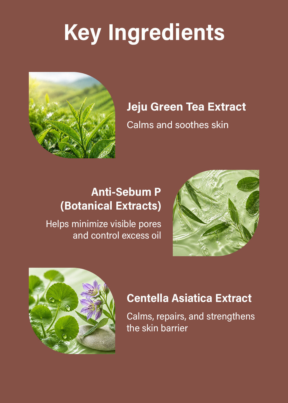 Isntree Green Tea Fresh Emulsion 120ml