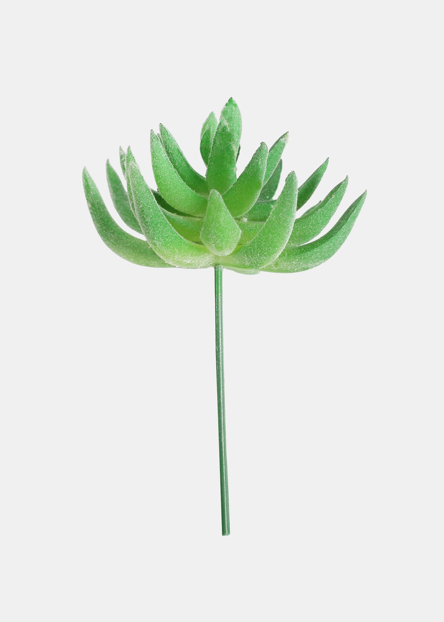 Official Key Items Artificial Succulents - Green Agrovoc