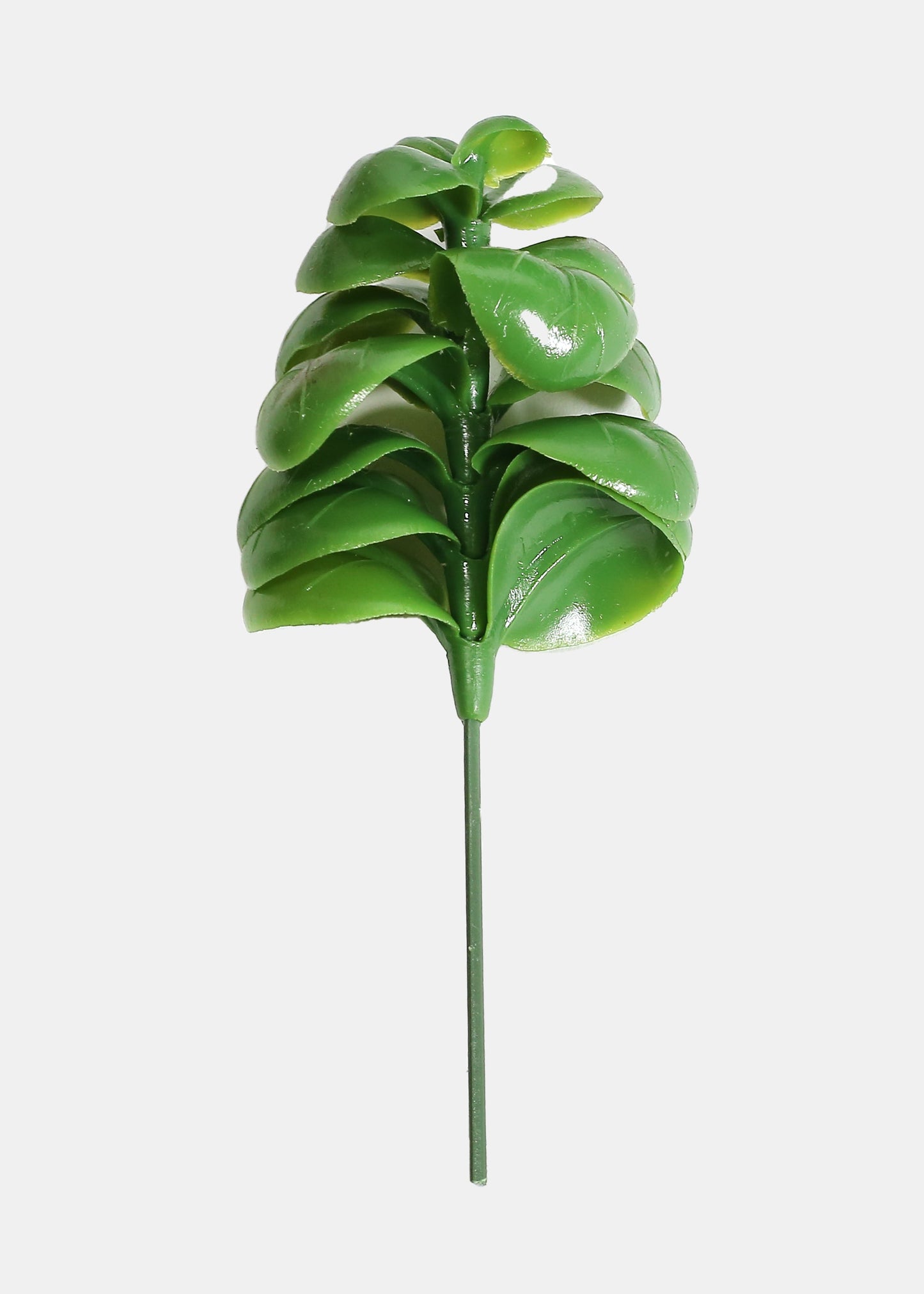 Official Key Items Artificial Succulents - Green Jade A
