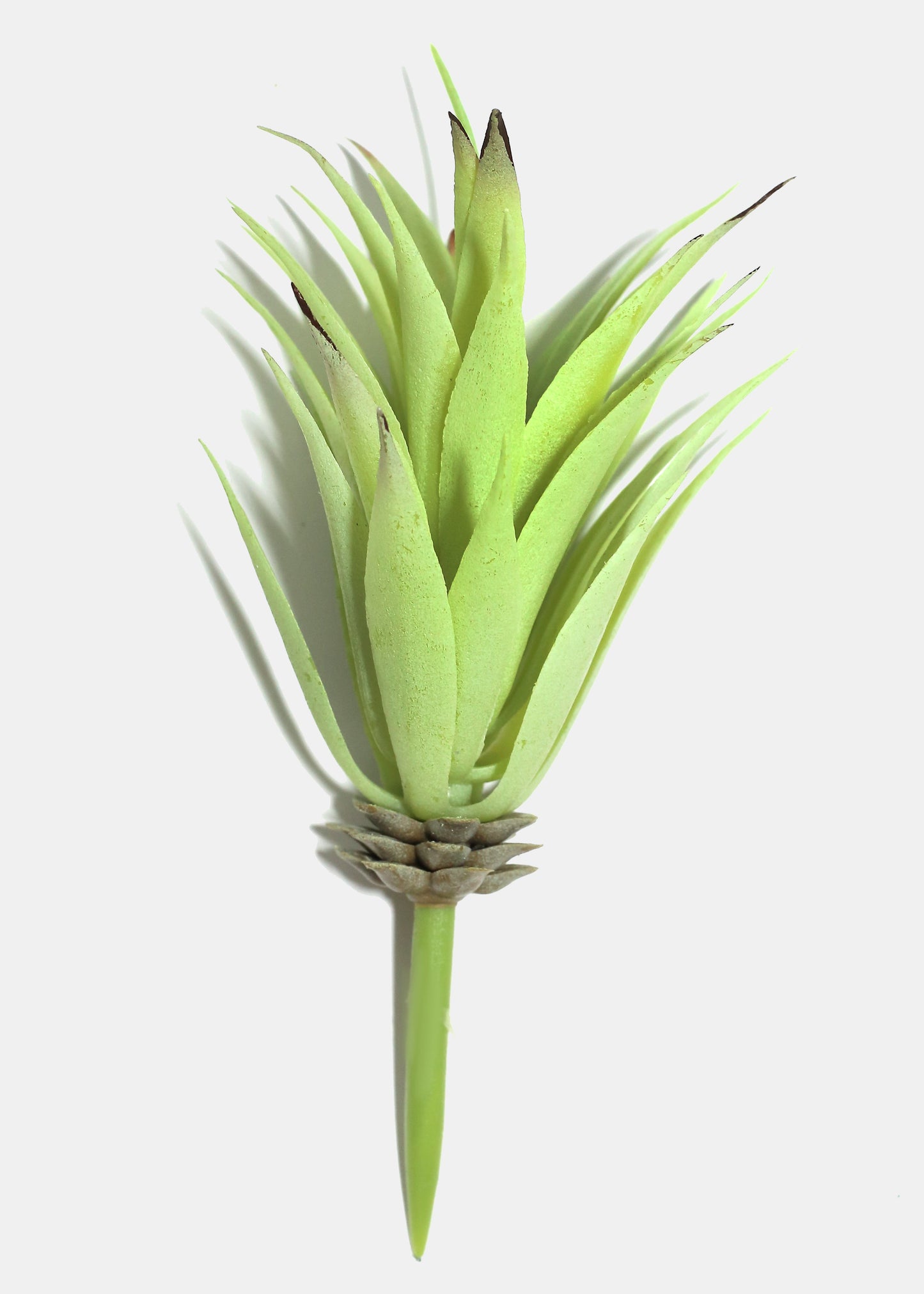 Official Key Items Artificial Succulents - Green Sisal A