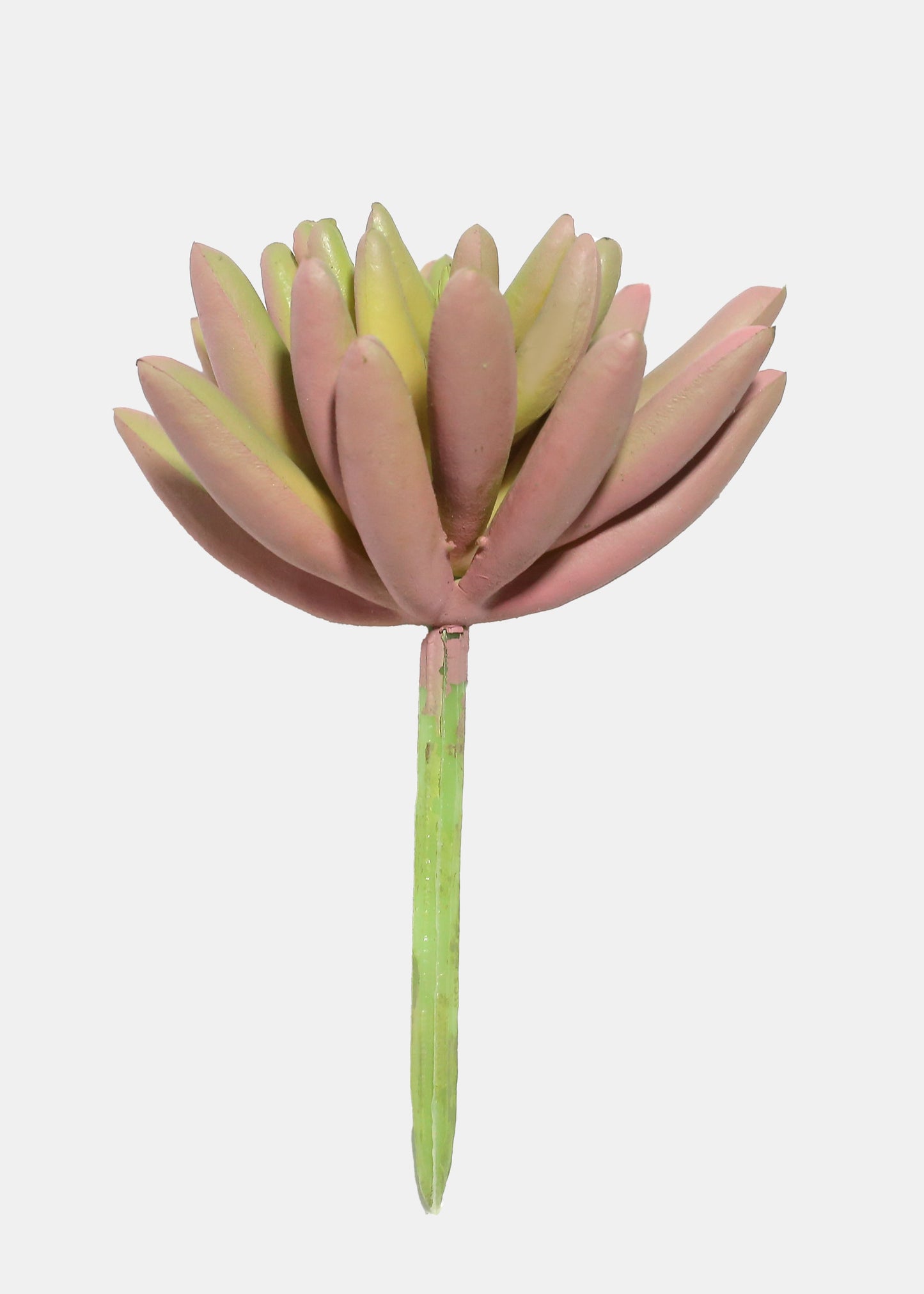 Official Key Items Artificial Succulents - Pink Spike Rosette