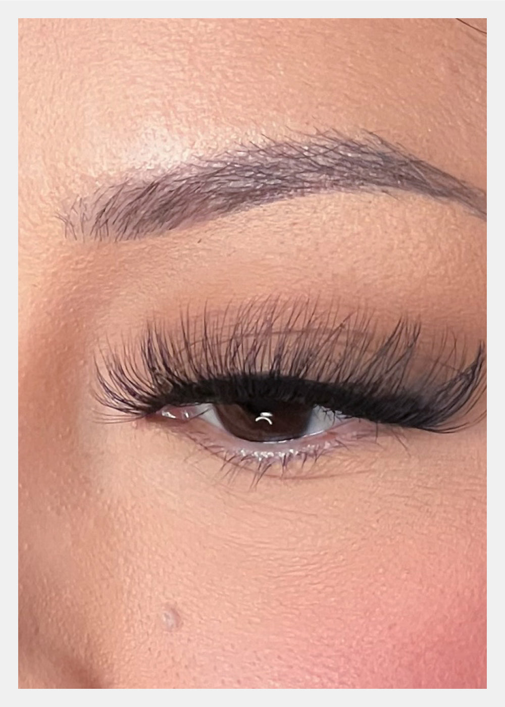 D-LUX Curl Premium Faux Mink Lashes - Vivien
