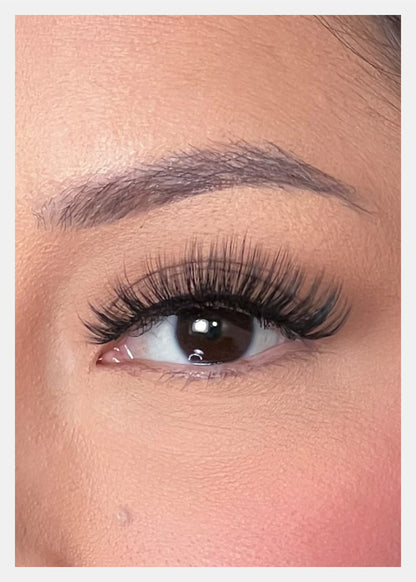 D-LUX Curl Premium Faux Mink Lashes - Hedy