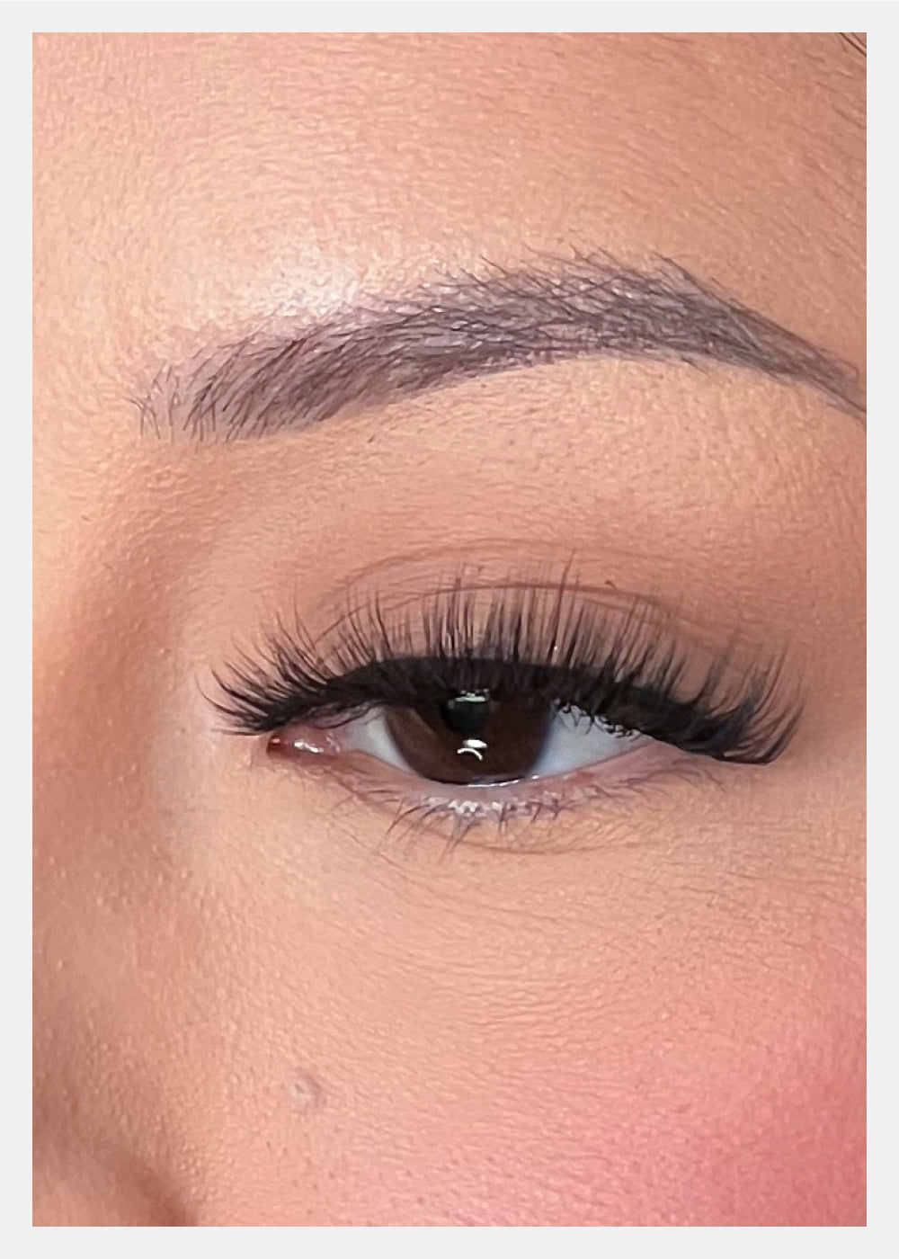 D-LUX Curl Premium Faux Mink Lashes - Hedy
