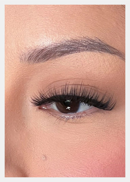 D-LUX Curl Premium Faux Mink Lashes - Hedy