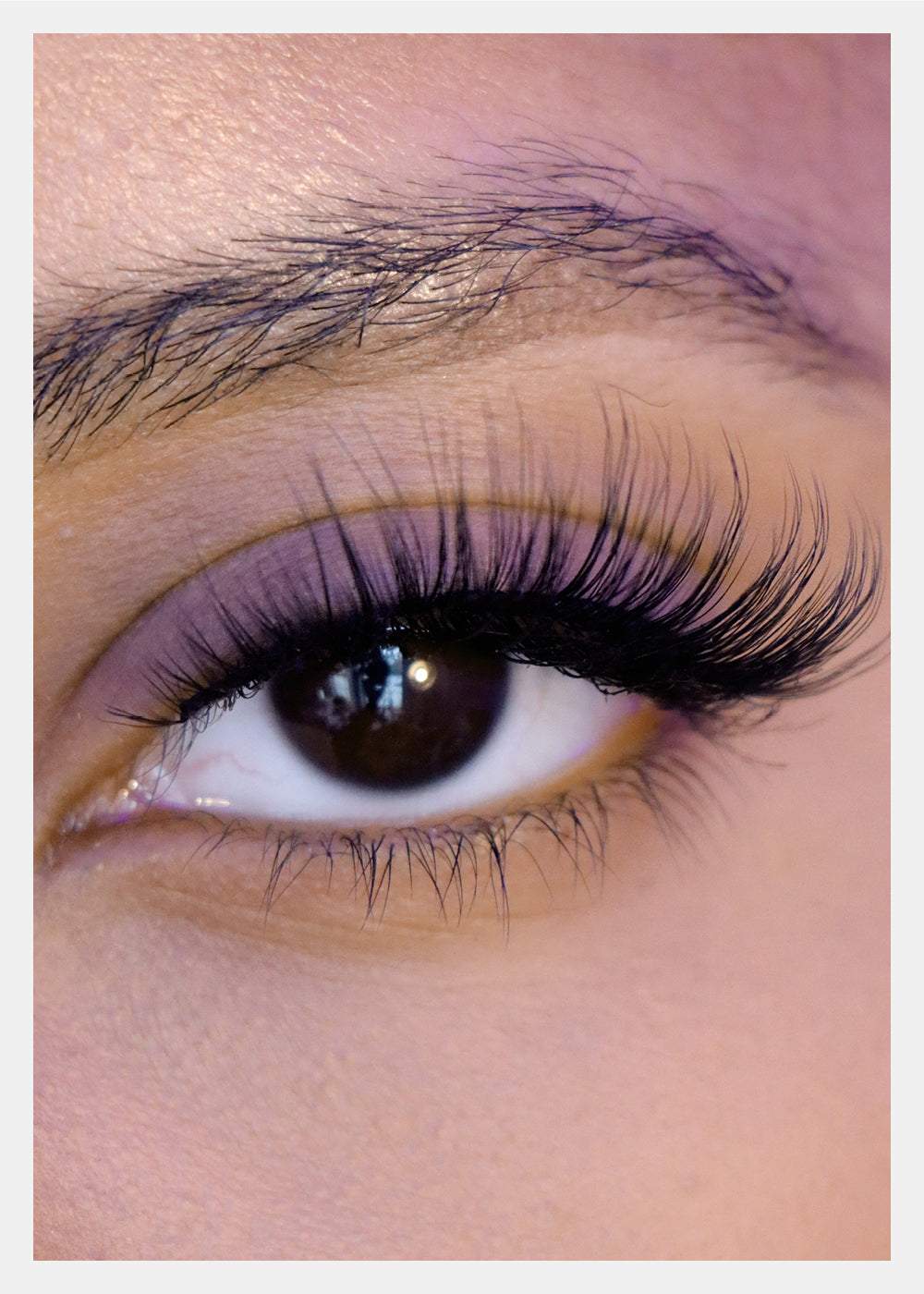 D-LUX Curl Premium Faux Mink Lashes - Josephine