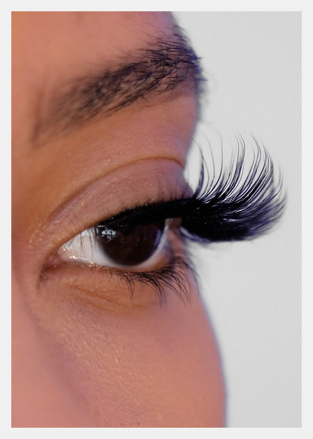 D-LUX Curl Premium Faux Mink Lashes - Josephine