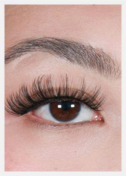 D-LUX Curl Premium Faux Mink Lashes - Bette