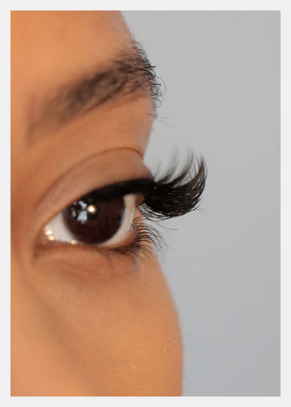 D-LUX Curl Premium Faux Mink Lashes - Lucille