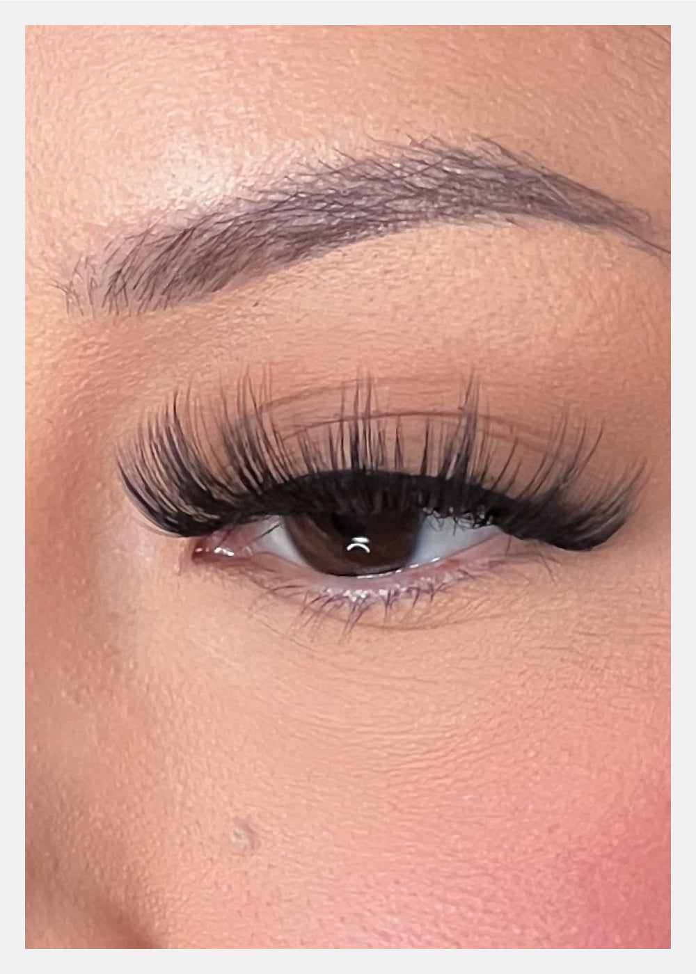 D-LUX Curl Premium Faux Mink Lashes - Dolores