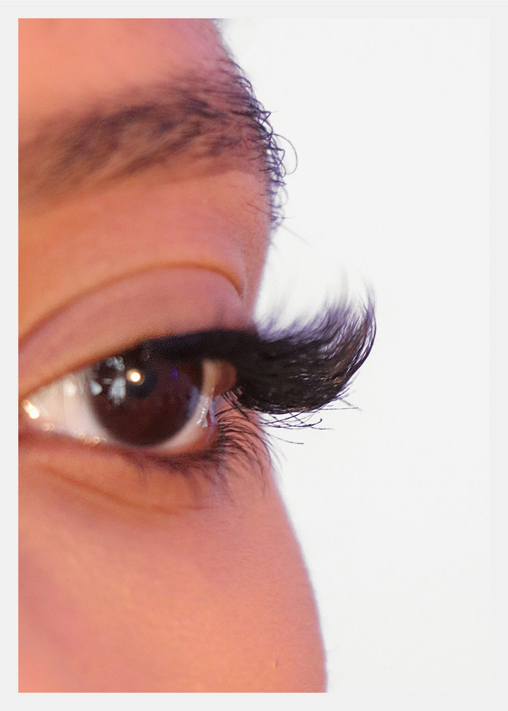 D-LUX Curl Premium Faux Mink Lashes - Grace