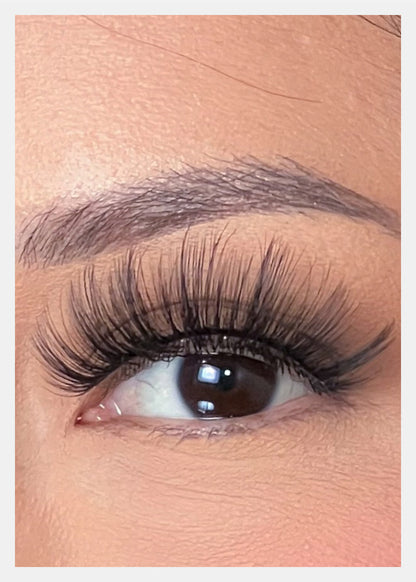 D-LUX Curl Premium Faux Mink Lashes - Lana