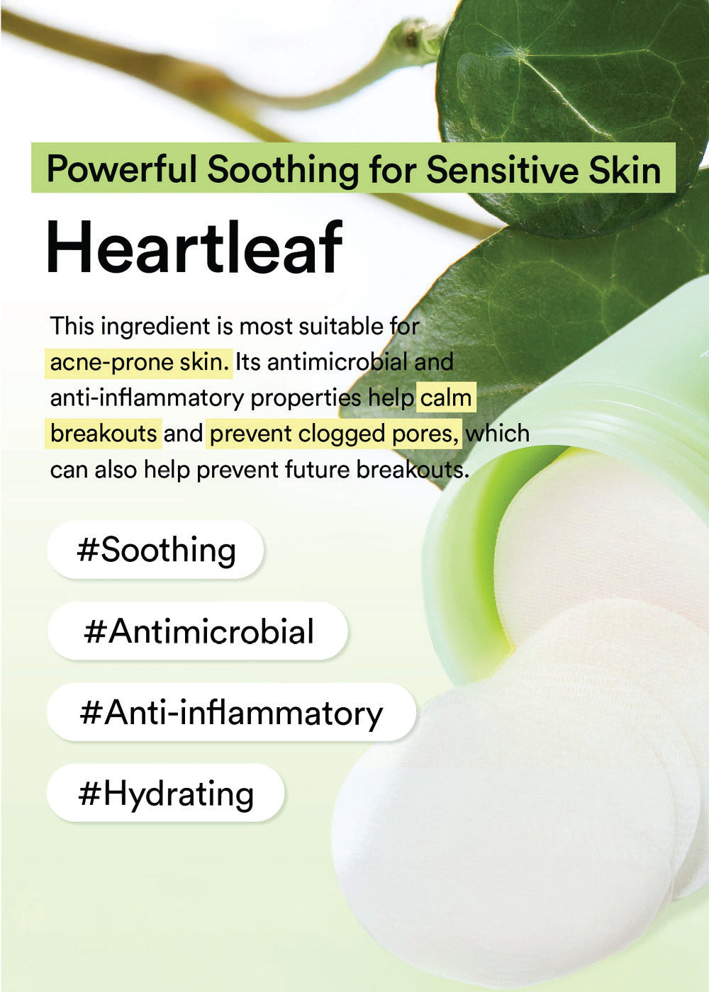 Abib Heartleaf Spot Pad Calming Touch (80 Pads)