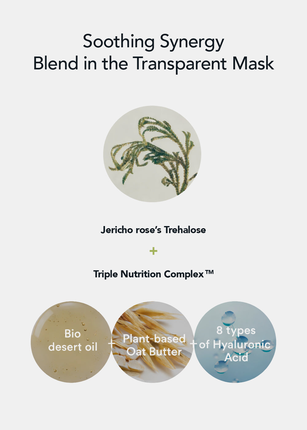Abib Mild Acidic pH Sheet Mask Jericho Rose Fit