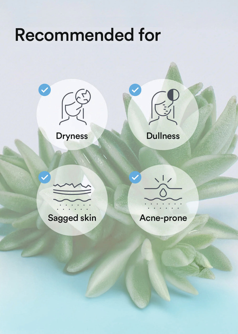 Abib Collagen Gel Mask Sedum Jelly