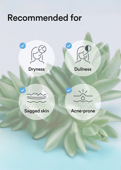Abib Collagen Gel Mask Sedum Jelly