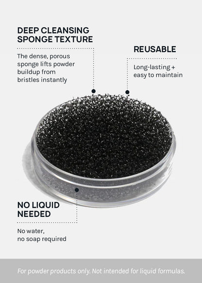 AOA Quick Brush Cleaner