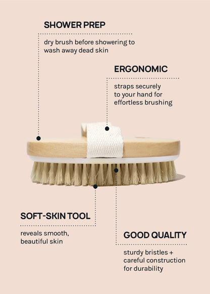 AOA Premium Body Dry Brush