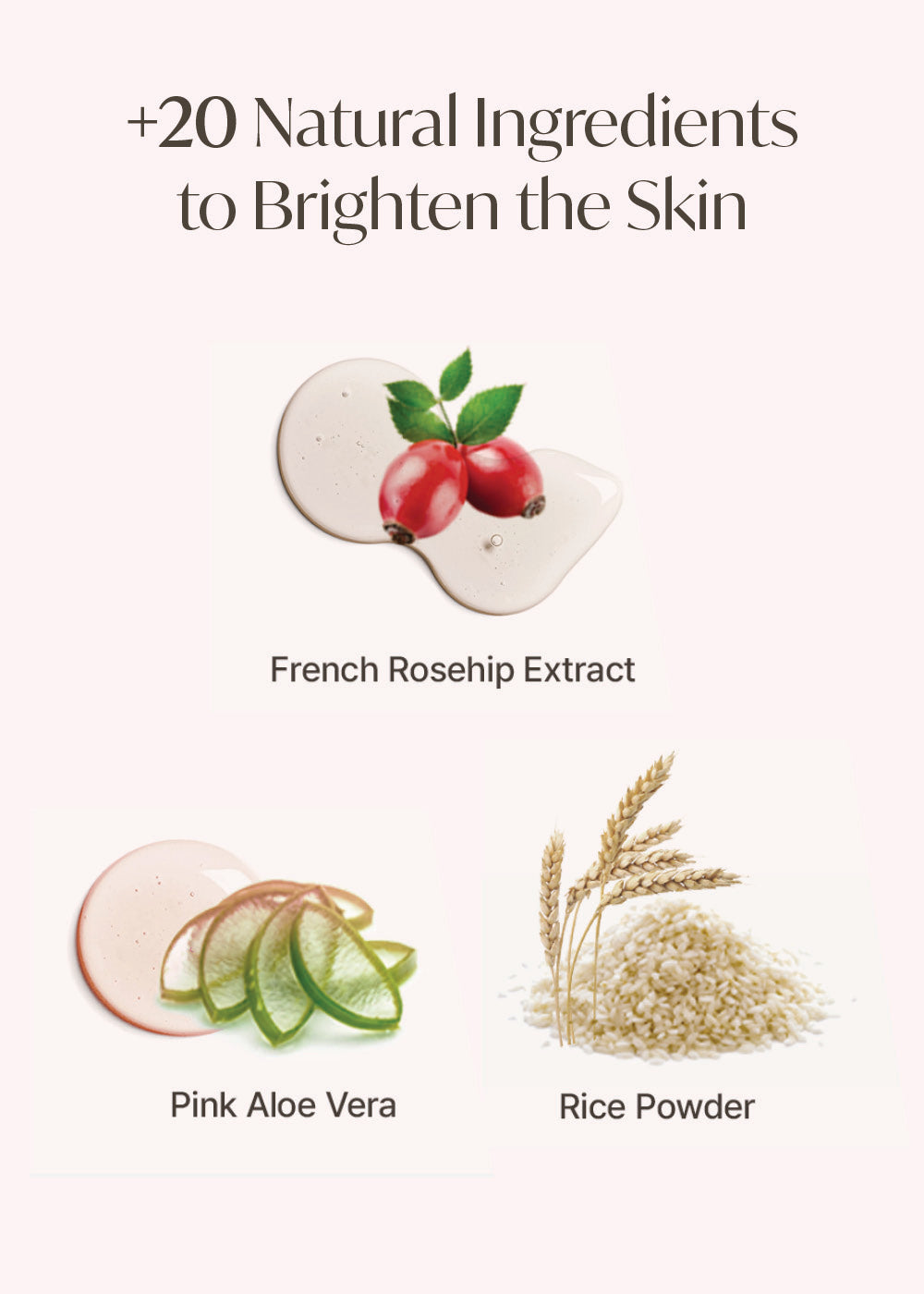 Arencia Fresh Rosehip Rice Mochi Cleanser 120g