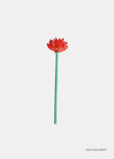 Red Succulent