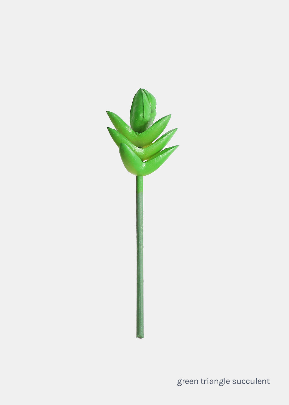 Official Key Items Small Succulents