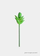 Green Triangle Succulent