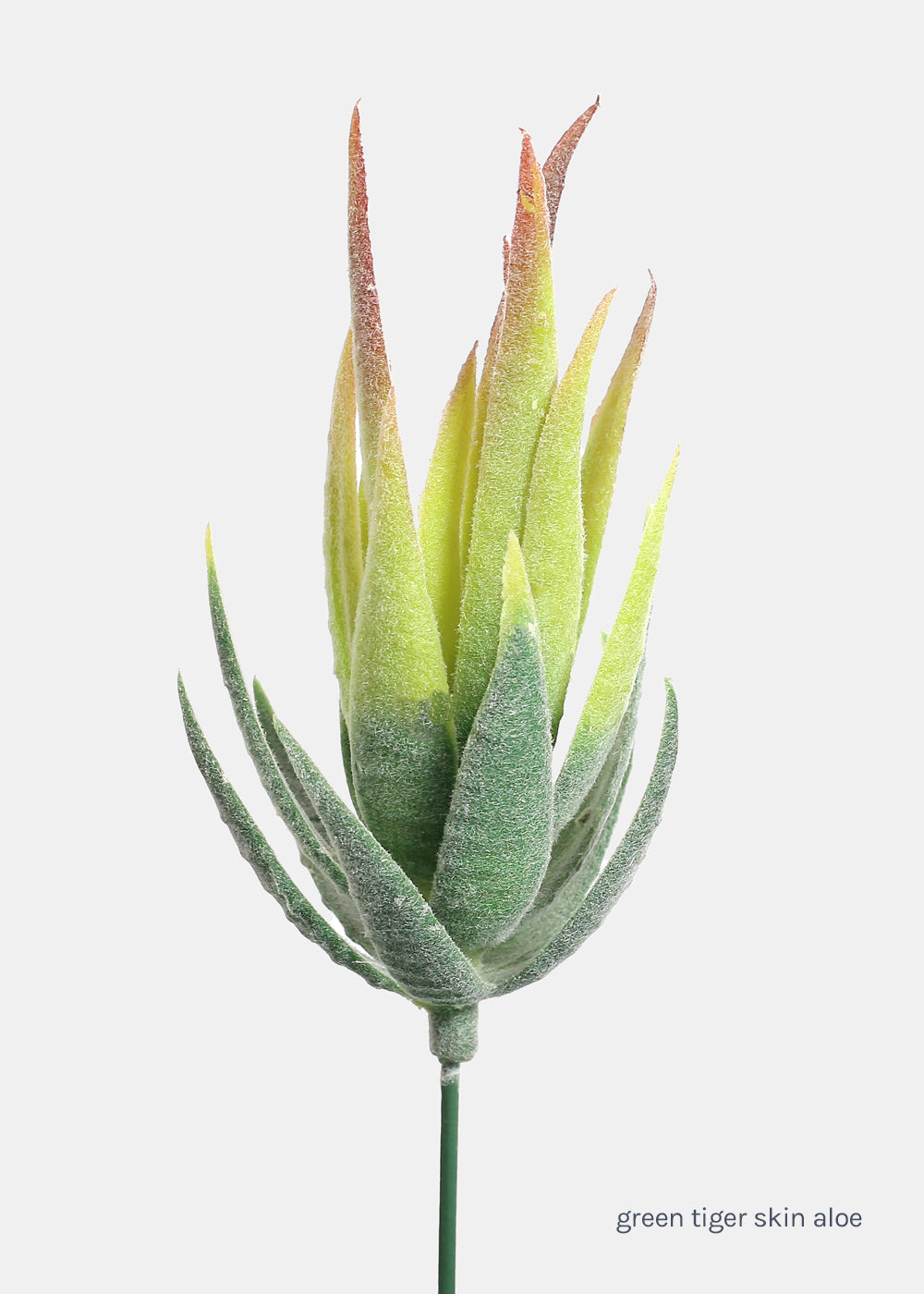 Official Key Items Artificial Succulents - Green Tiger Skin Aloe