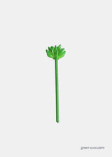 Green Succulent