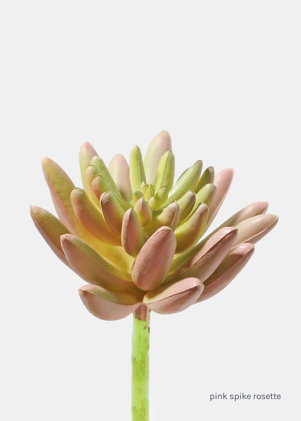 Official Key Items Artificial Succulents - Pink Spike Rosette