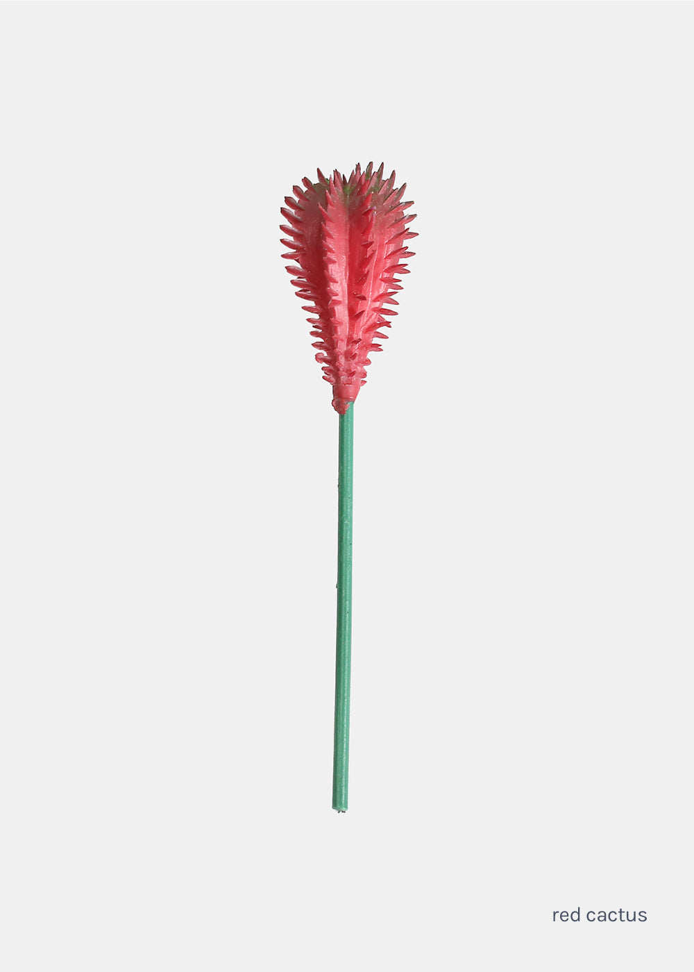 Official Key Items Small Succulents