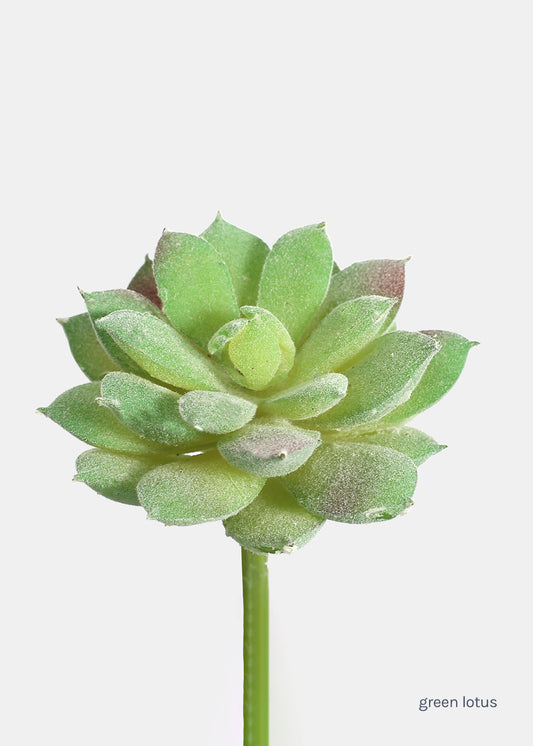 Official Key Items Artificial Succulents - Green Lotus