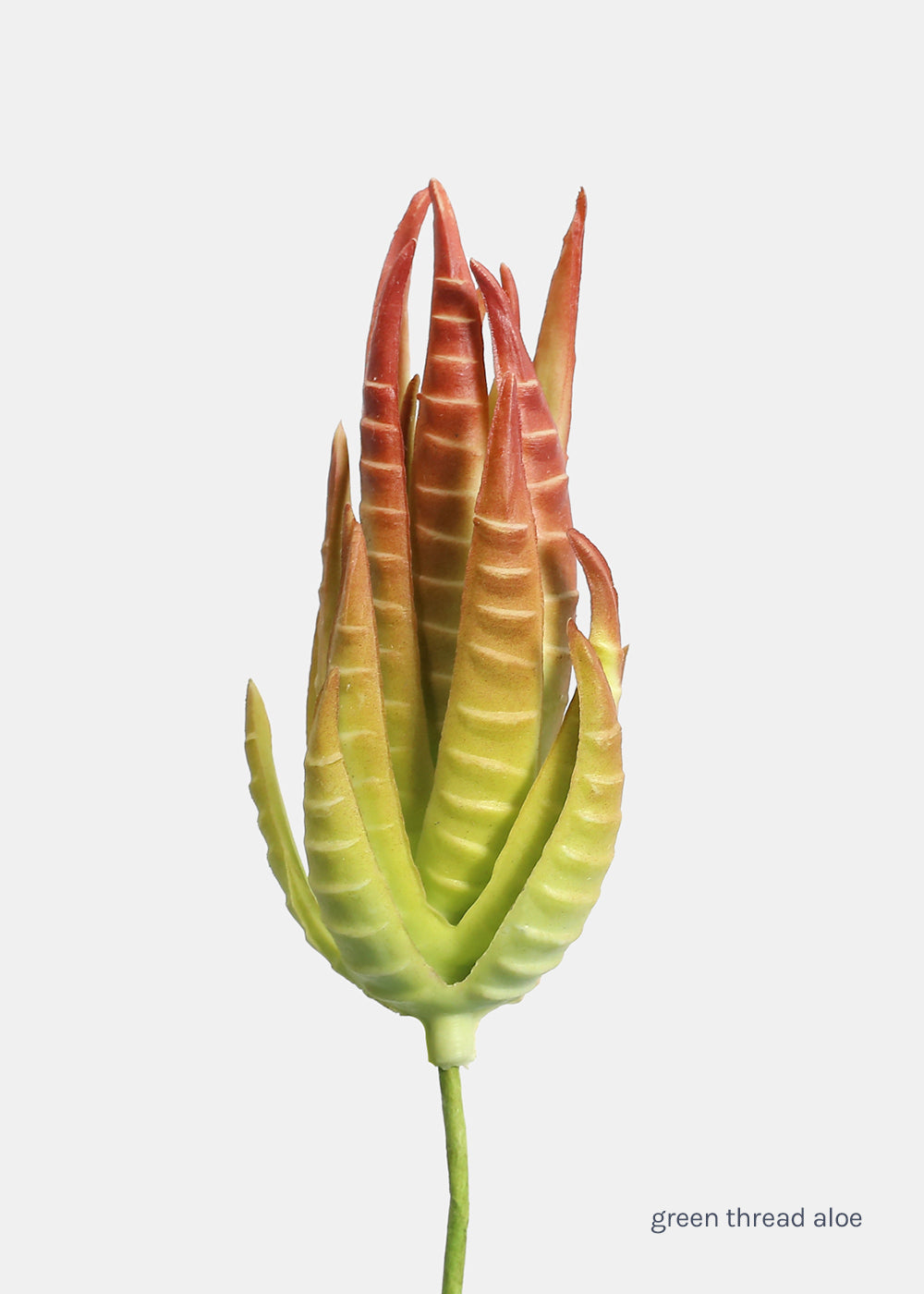 Official Key Items Artificial Succulents - Green Thread Aloe