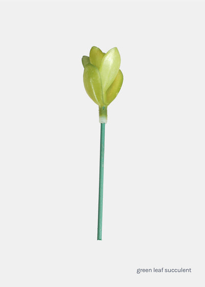 Official Key Items Small Succulents