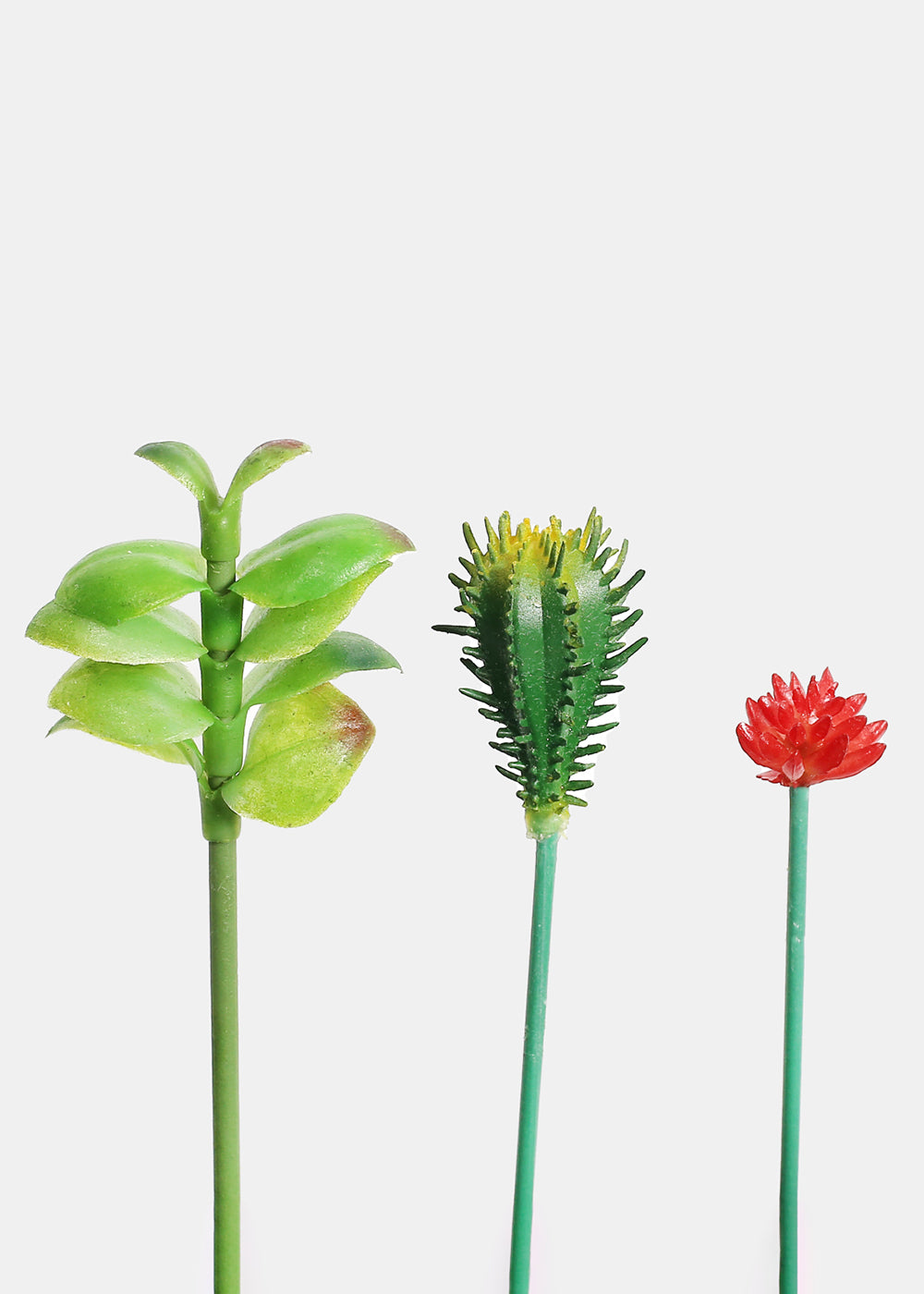 Official Key Items Small Succulents
