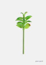 Green Jade B