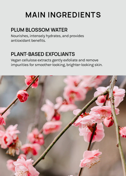 Beauty of Joseon Apricot Blossom Peeling Gel 100ml
