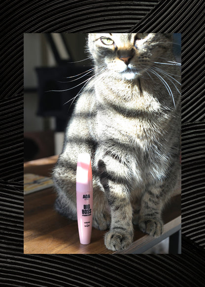 Paw Paw Big Boss Mascara