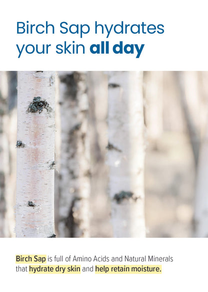 ROUND LAB Birch Juice Moisturizing Cream 80ml