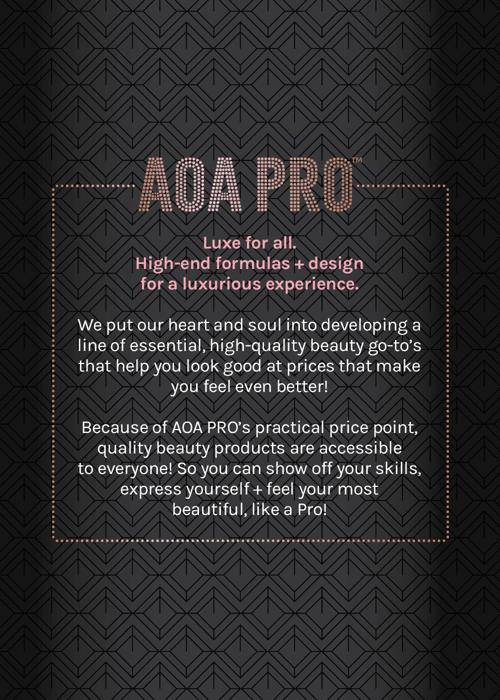 AOA Pro Brow Perfection Pencil