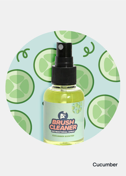 AOA Brush Cleaning Spray