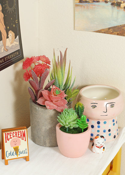 Official Key Items Small Succulents