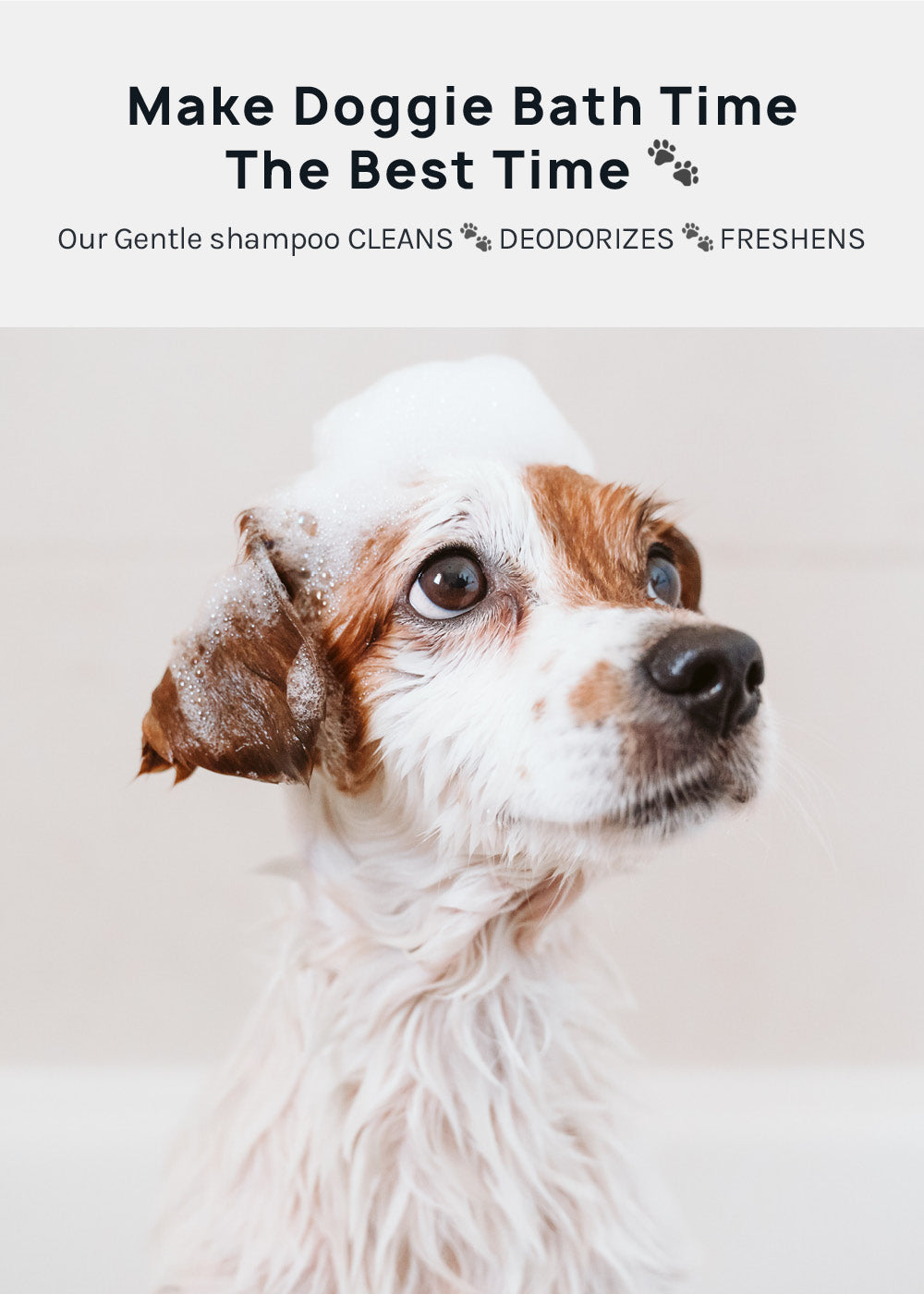 Natural Dog Shampoo