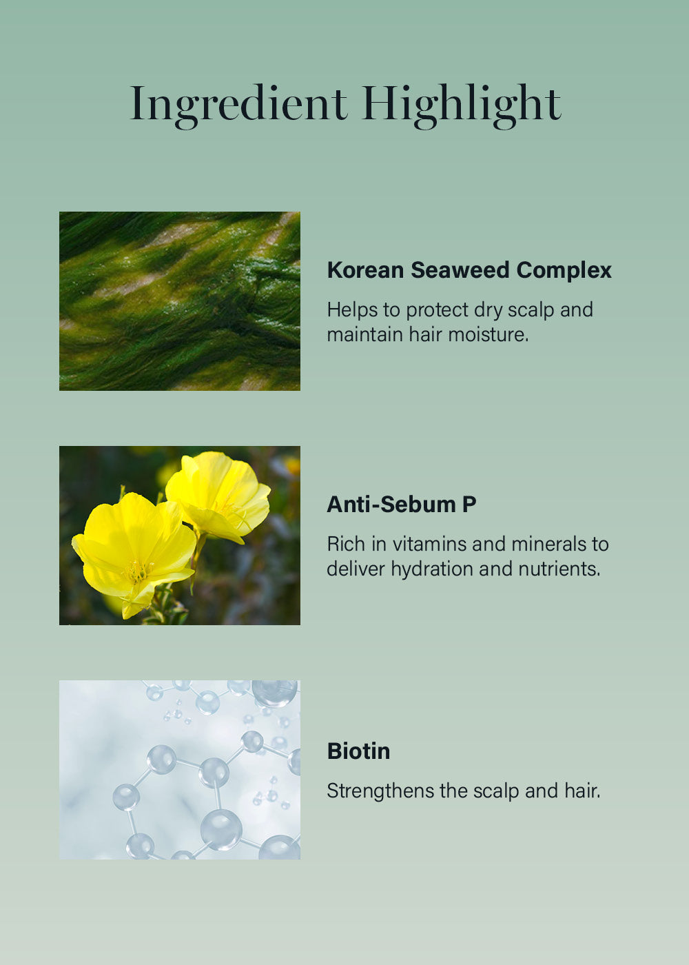 GROWUS Algae Therapy Shampoo 500ml