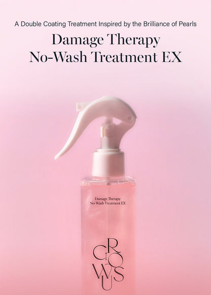 GROWUS Damage Therapy No-Wash Treatment EX 250ml
