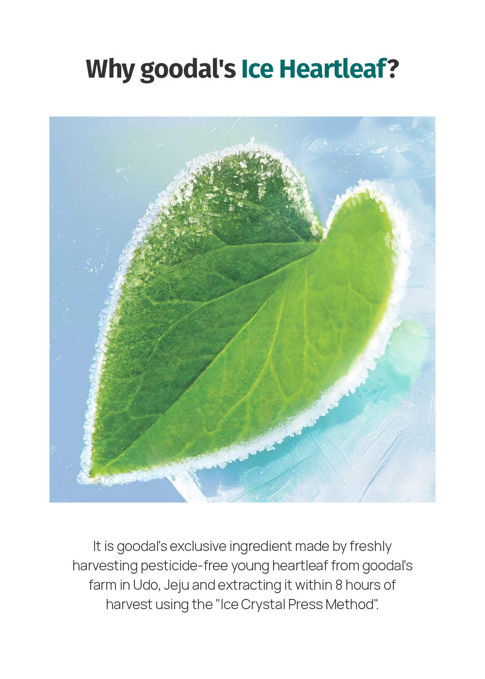 goodal Heartleaf Hyaluron Soothing Clear Pad (70 Pads)