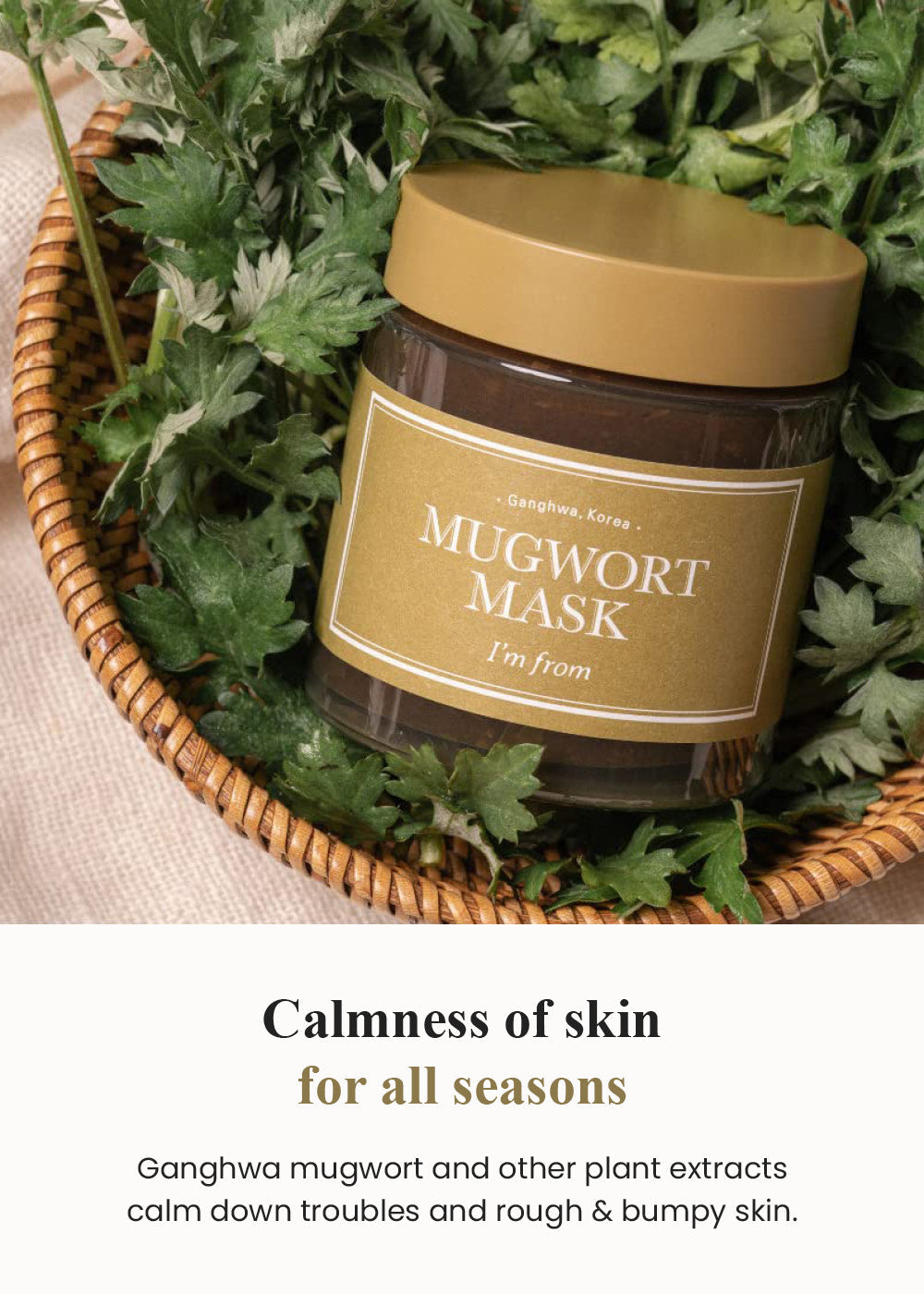 I’m from Mugwort Mask 110g