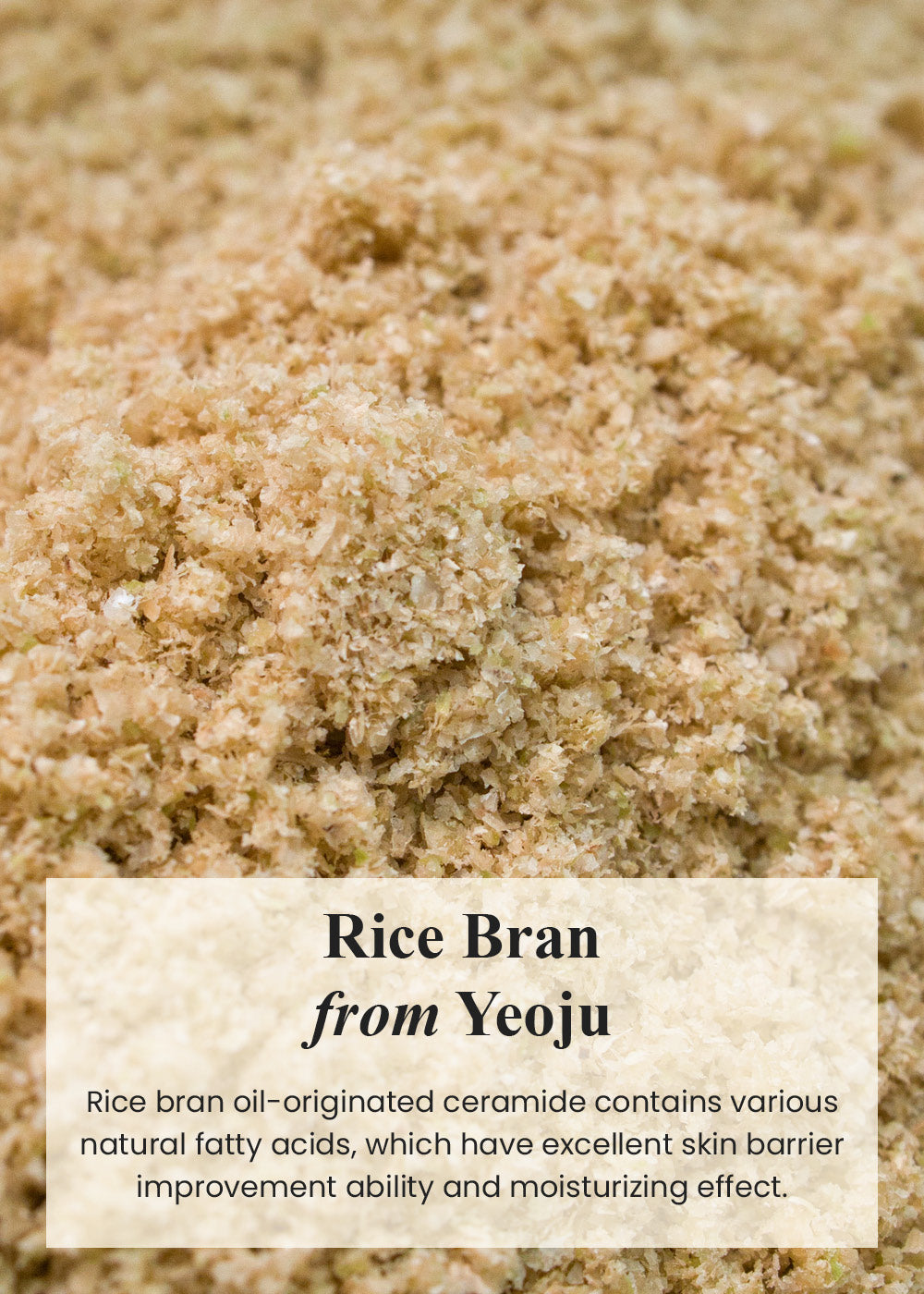 I’m from Rice Cream 50g